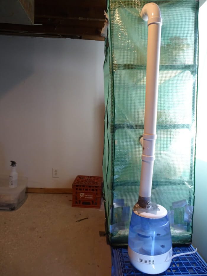 martha mushroom fruiting chamber