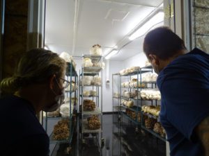 Sam and Devon peer into one of Tivoli Mushroom's fruiting rooms