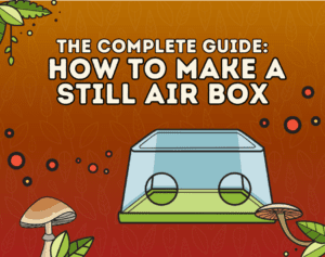 how to make a still air box