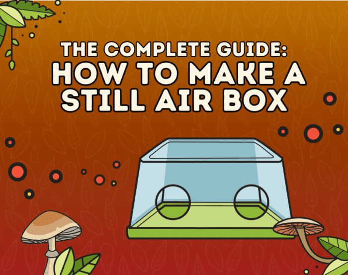 how to make a still air box