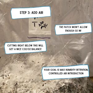 grow magic mushrooms at home