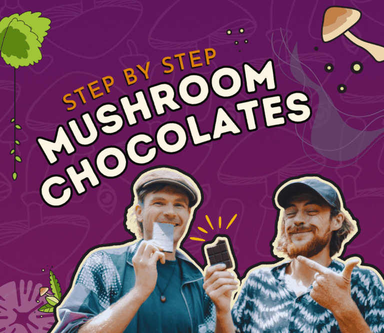 how to make mushroom chocolate bars