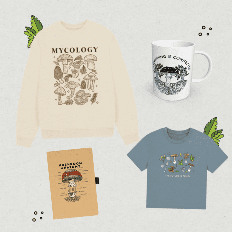 buy mushroom merch