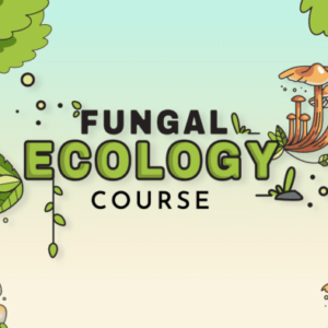 Fungal Ecology Course