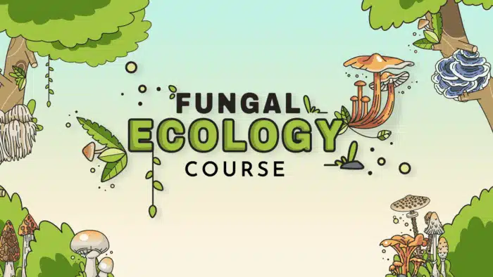 Fungal Ecology Course