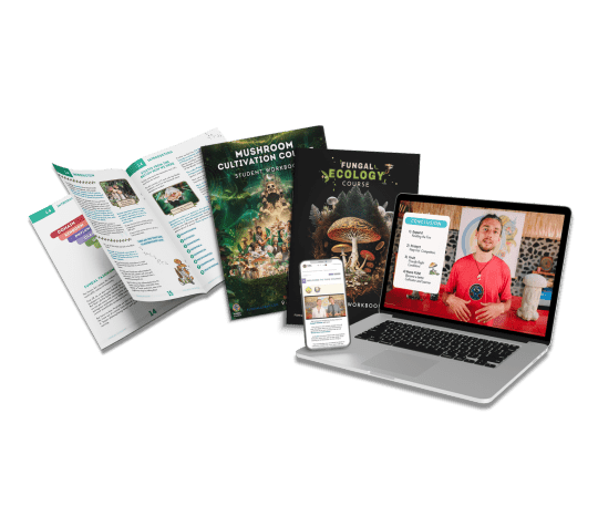 fungal fundamentals bundle online fungi academy school