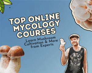top online mycology courses 2025