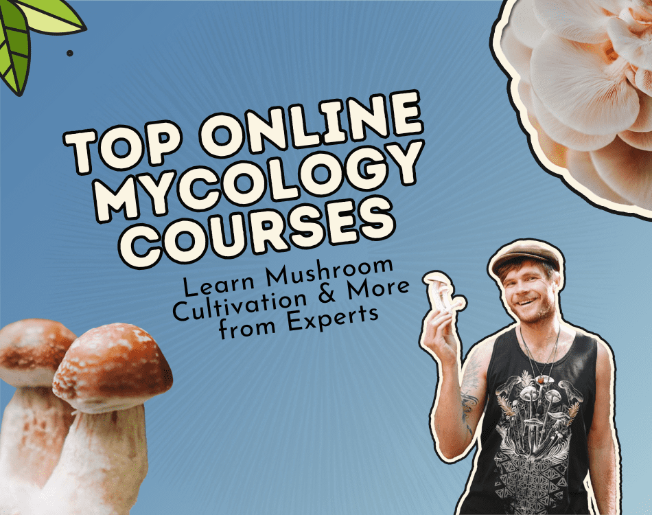 top online mycology courses 2025