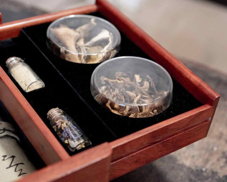 psilocybin mushroom journey