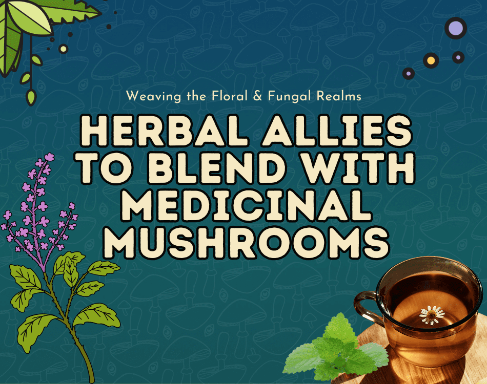 herbal allies to blend with medicinal mushrooms