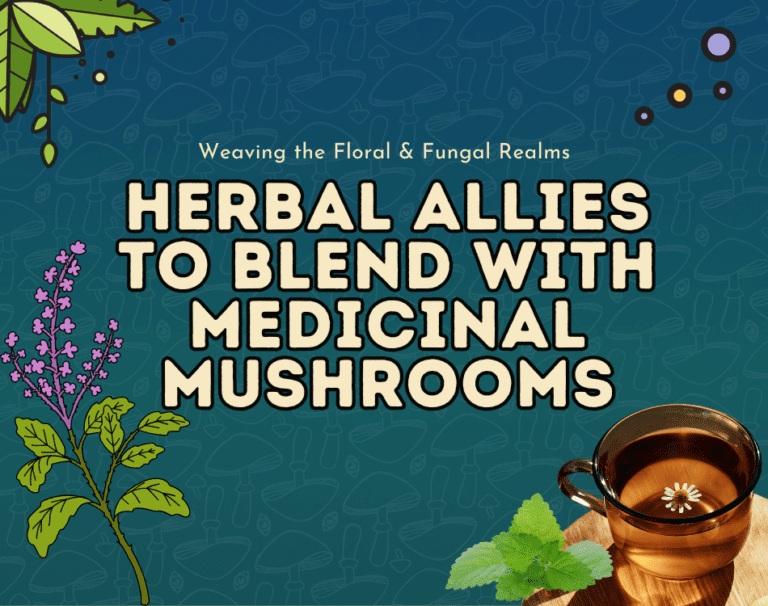 herbal allies to pair with medicinal mushrooms
