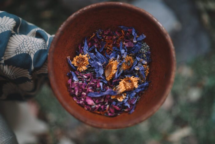 blue lotus for herbal mushroom paiirng