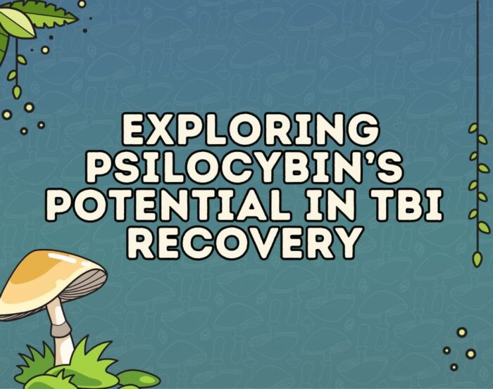 exploring psilcoybins potential in tbi recovery