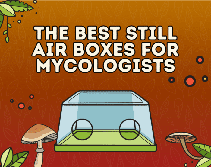 the best still air boxes for mycologists