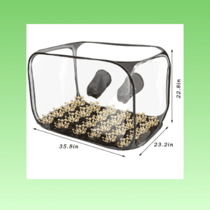 XXL Still Air Box by MushroomTec