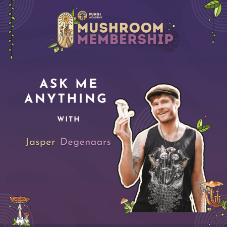 Mushroom Membership - AMA with Jasper - Square op2