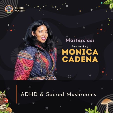 PJW Masterclass - Monica Cadena feed