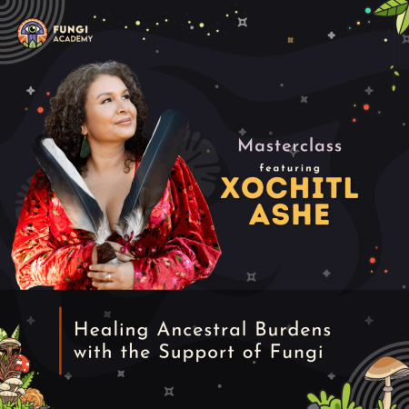 PJW Masterclass - Xochitl feed